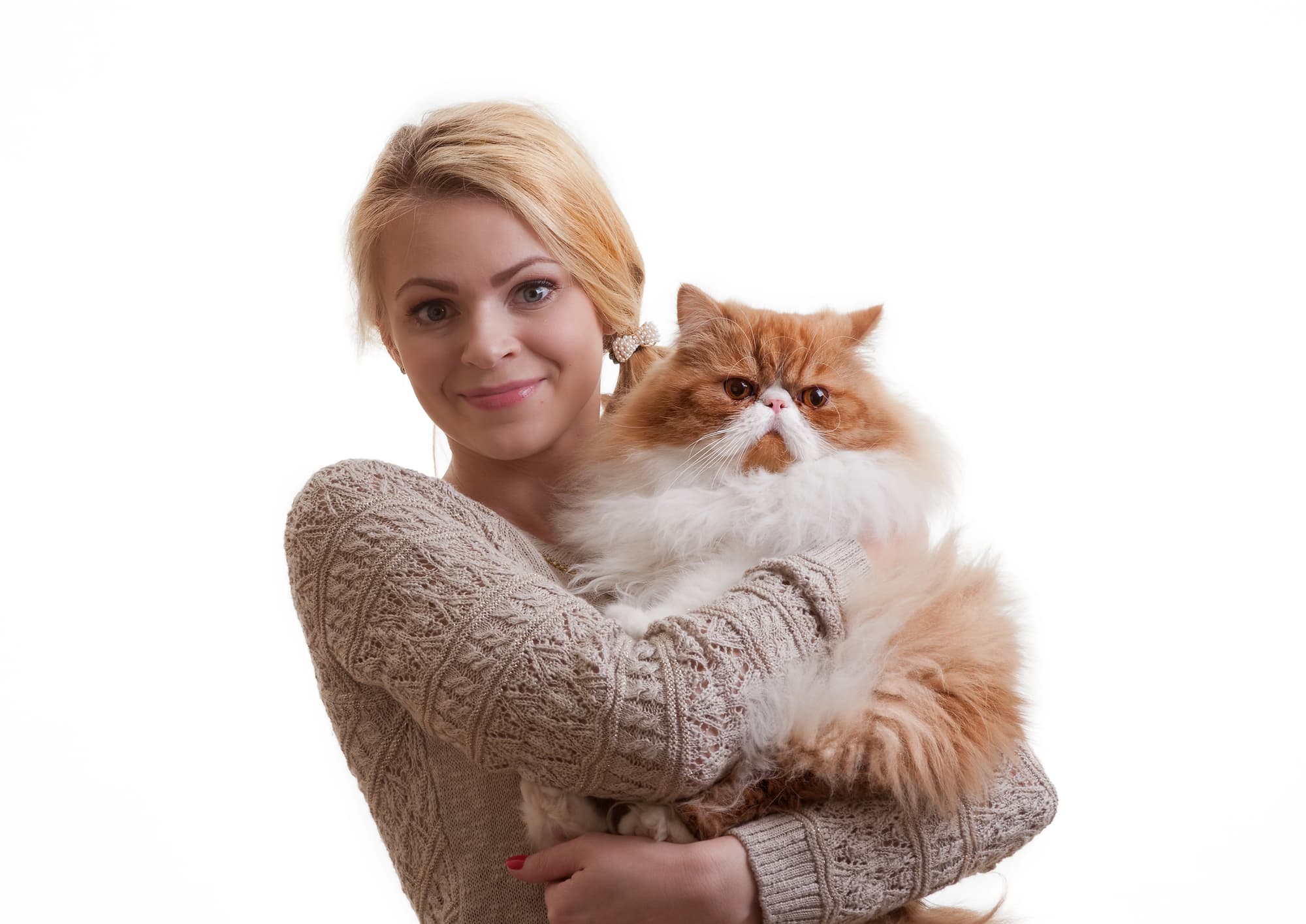 The Ultimate Scratching Solution for Large Cats