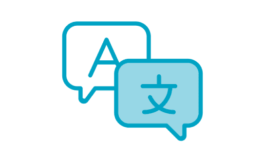 20+ Languages