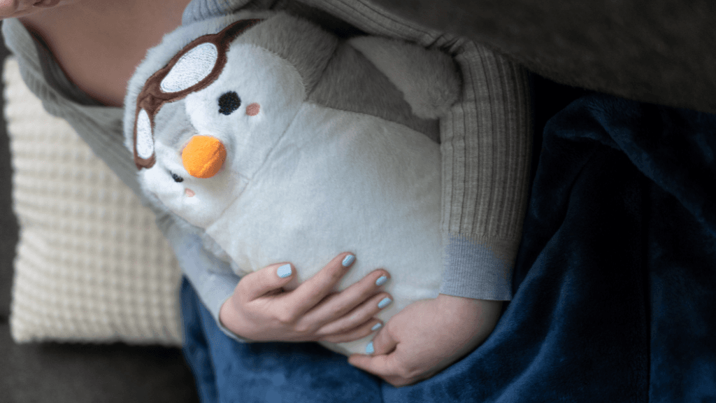 ThermoSnug: Your Portable Heated Wellness Companion