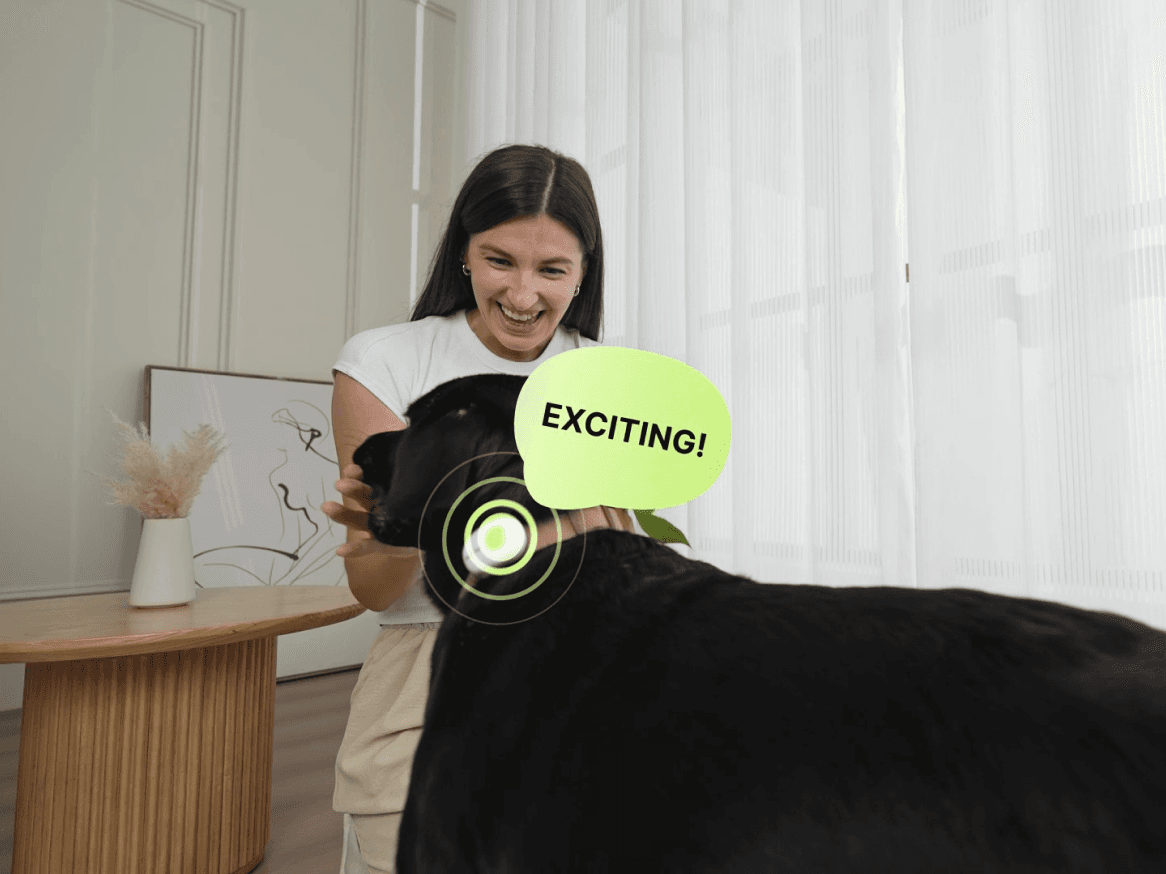 Pettichat: The First Real-Time Pet Translator