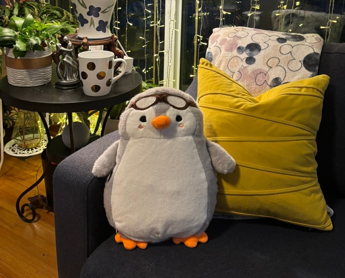 ThermoSnug: Your Portable Heated Wellness Companion