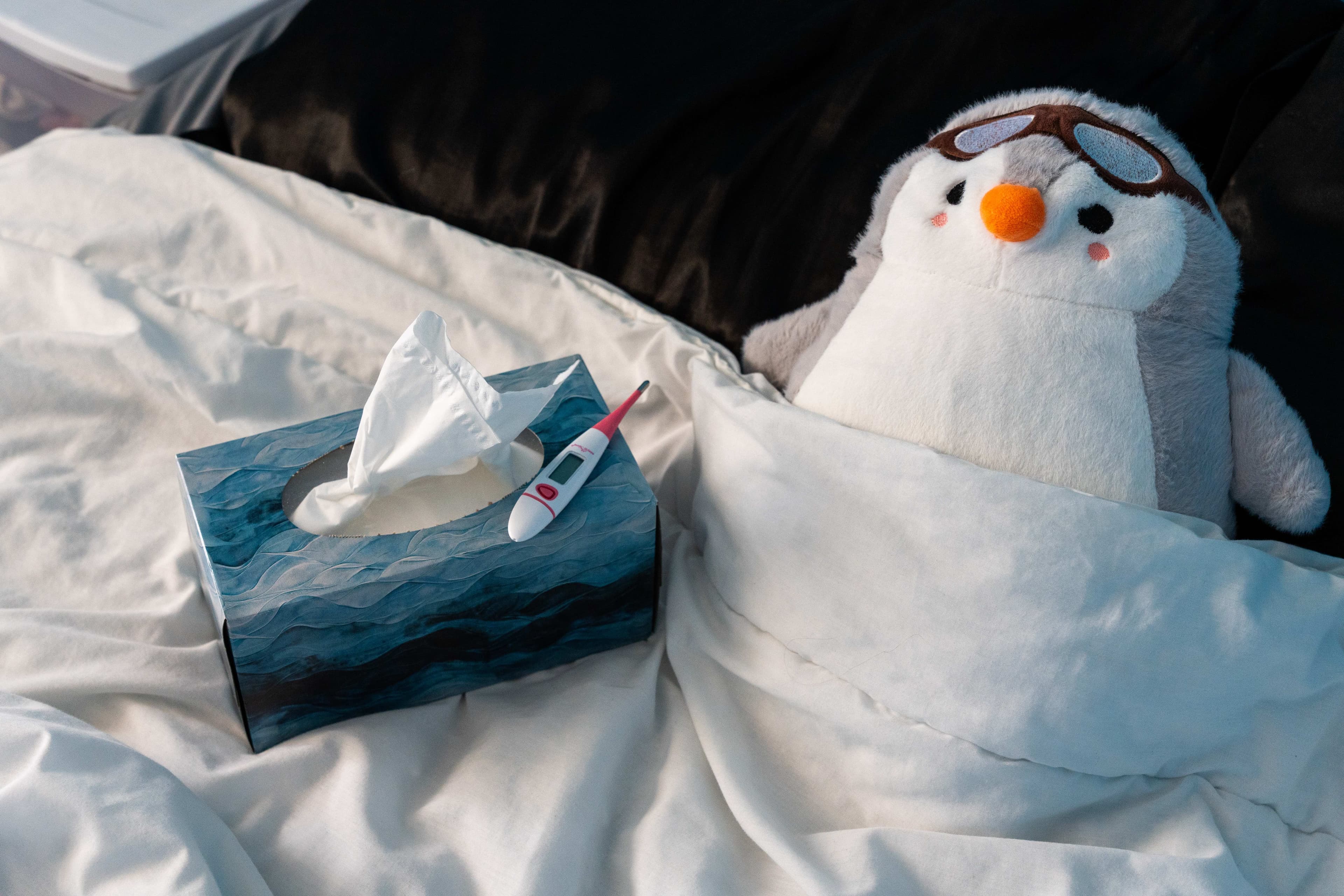  Experience Comfort Anywhere with ThermoSnug