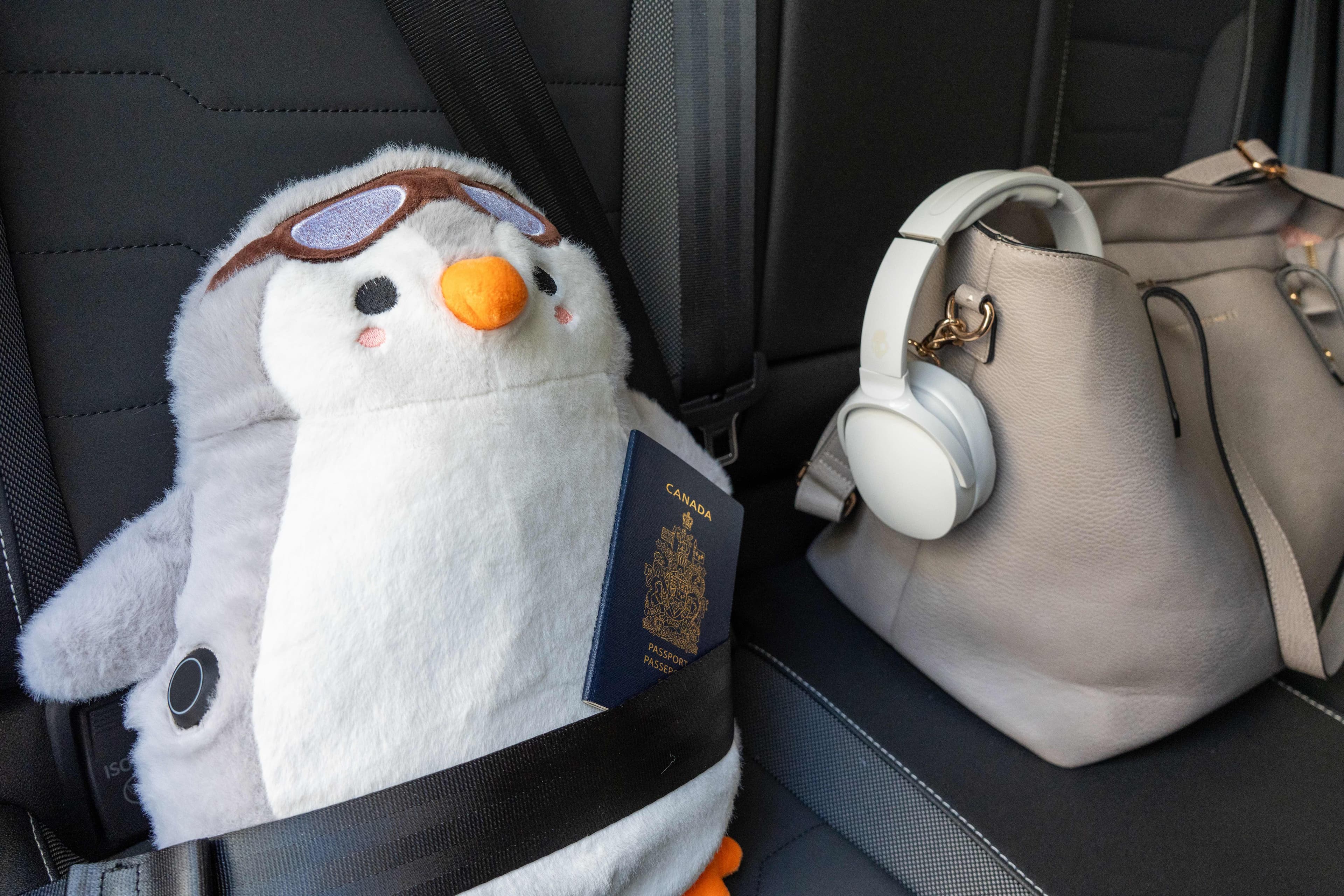  Experience Comfort Anywhere with ThermoSnug