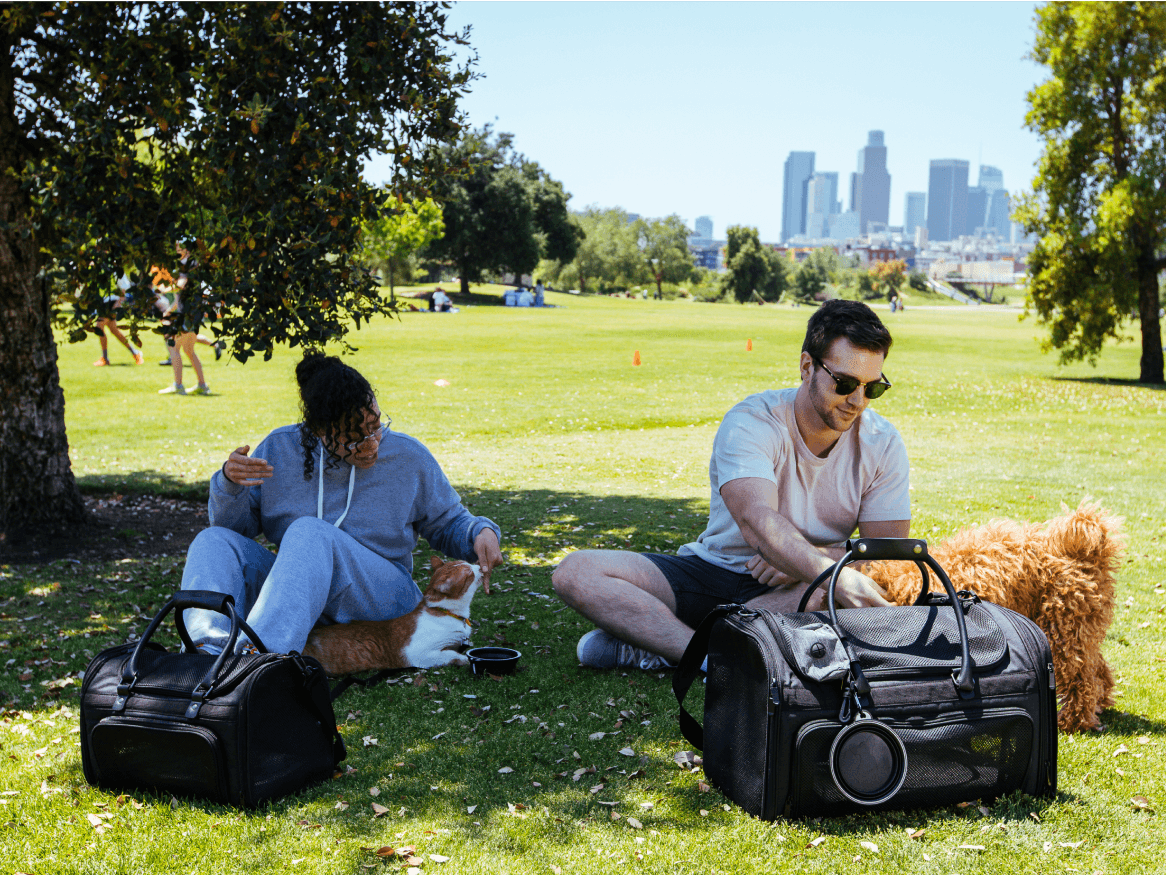 Petaluxe: The Best Way to Travel With Your Pet