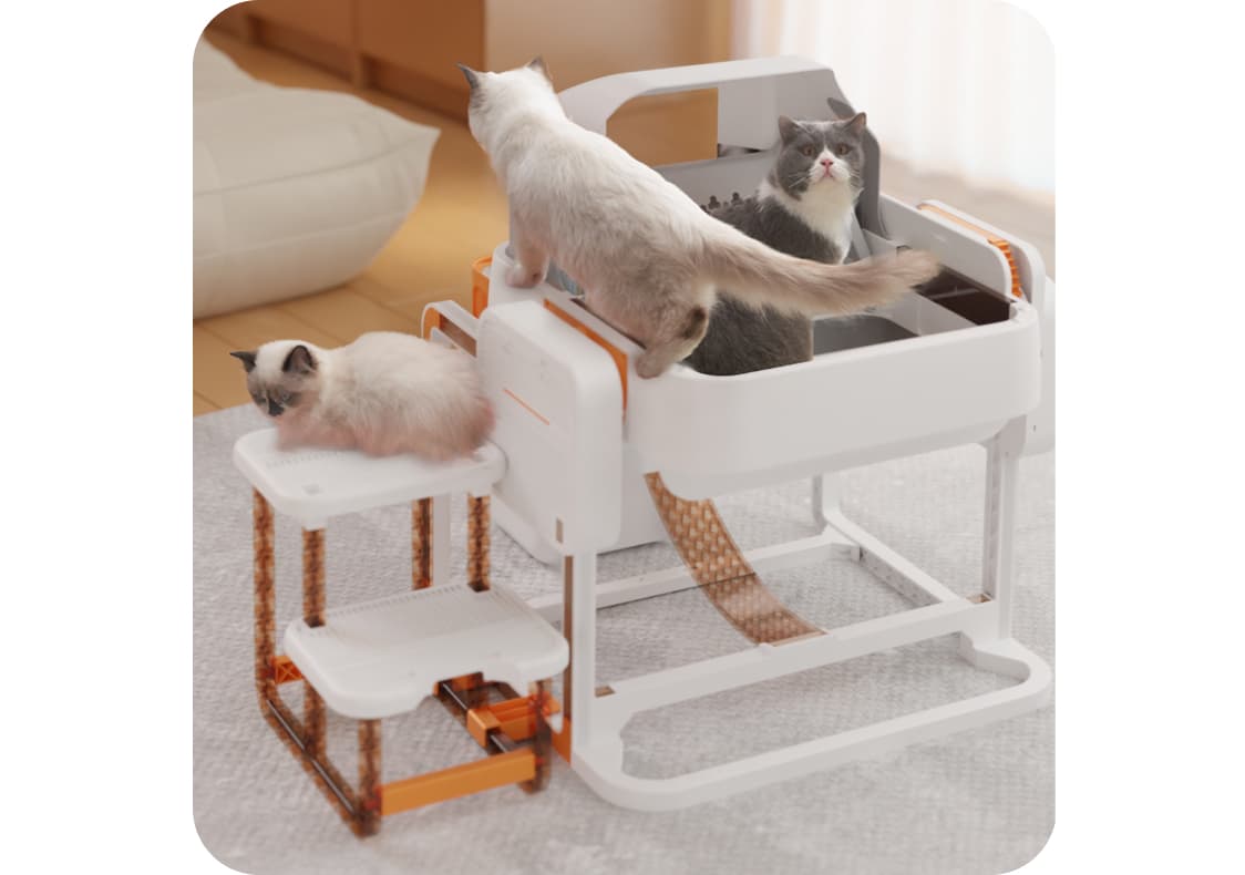 Catbula: Self-Cleaning Litter Box for Large Cats