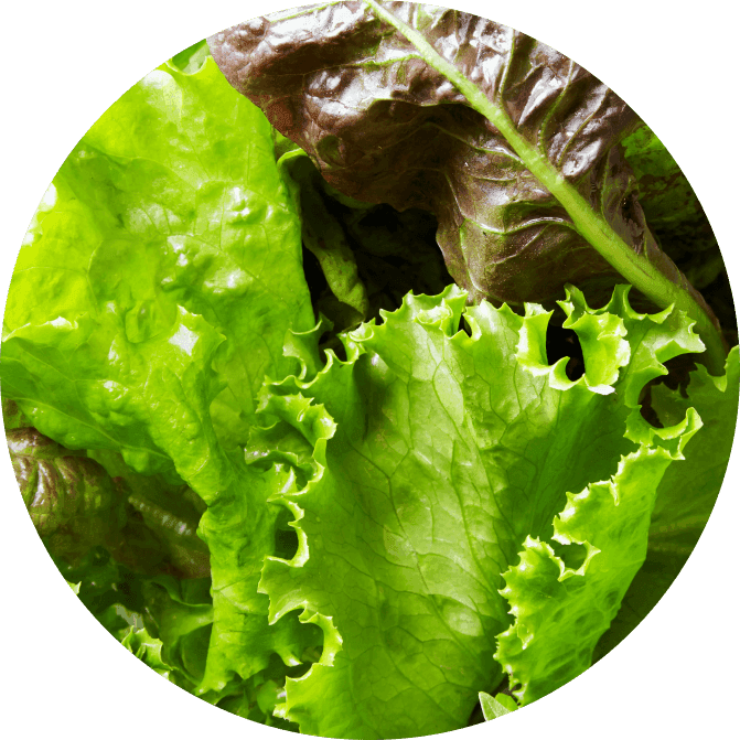 Salad greens