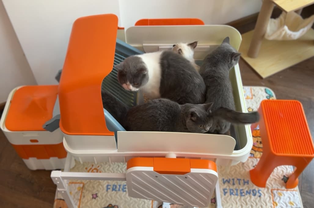 FurBuilt: Self-Cleaning Litter Box for Large Cats
