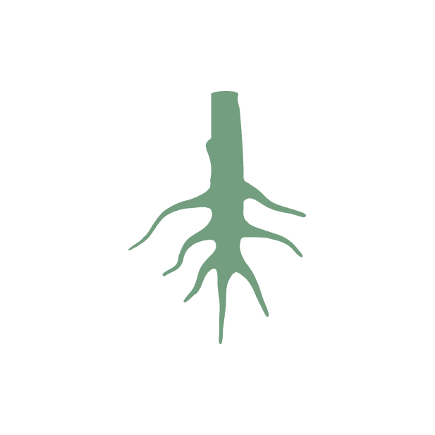 Root-Level Nutrient & Oxygen Supply
