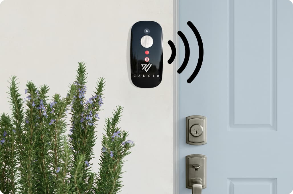 Zanger: AI on Guard of Your Property and Privacy