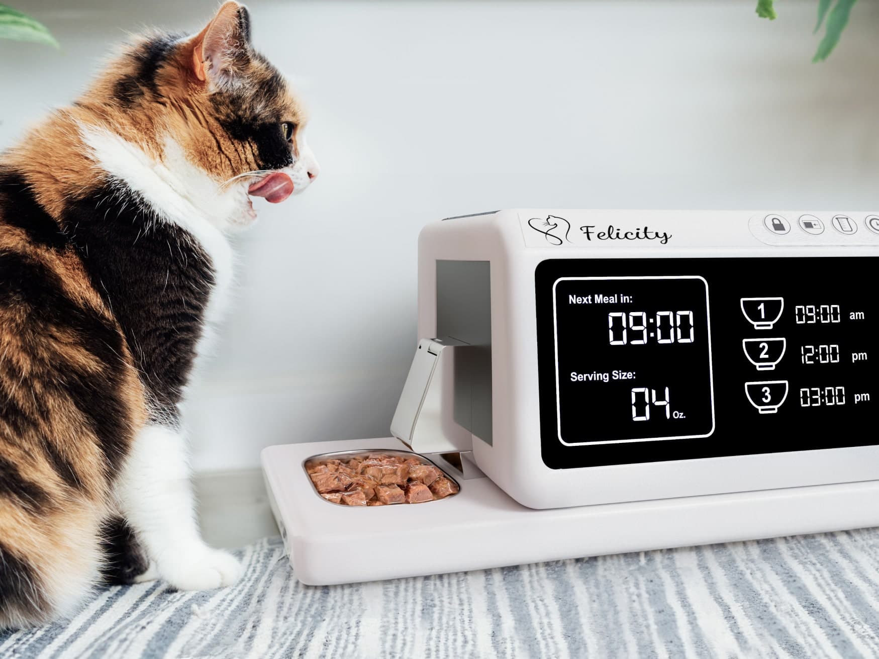 Felicity Pet Feeder: Your Smart Wet Food Dispenser