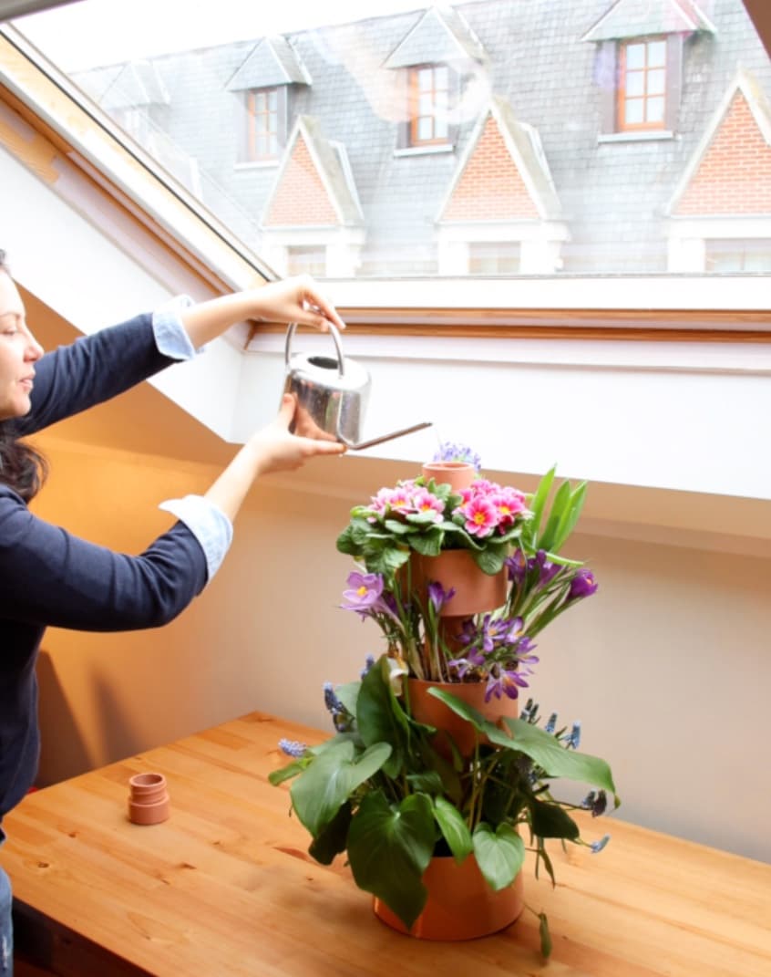 Garden Stack: The Future of Home Farming