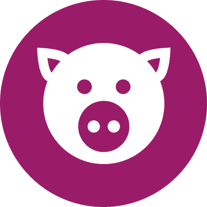 Pig sound