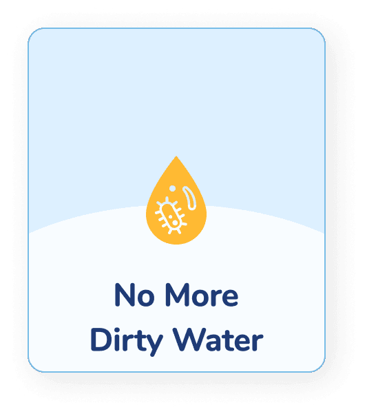 The Automatic Rinse