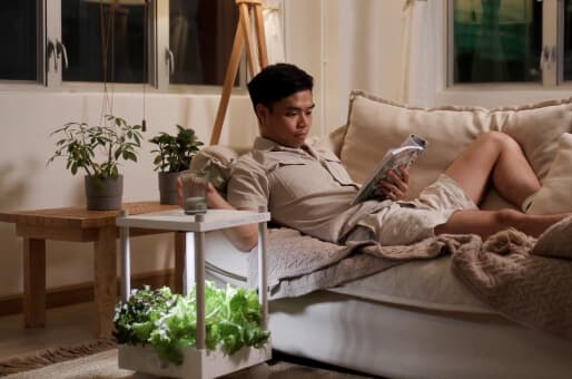 The World’s Most Modular Indoor Garden