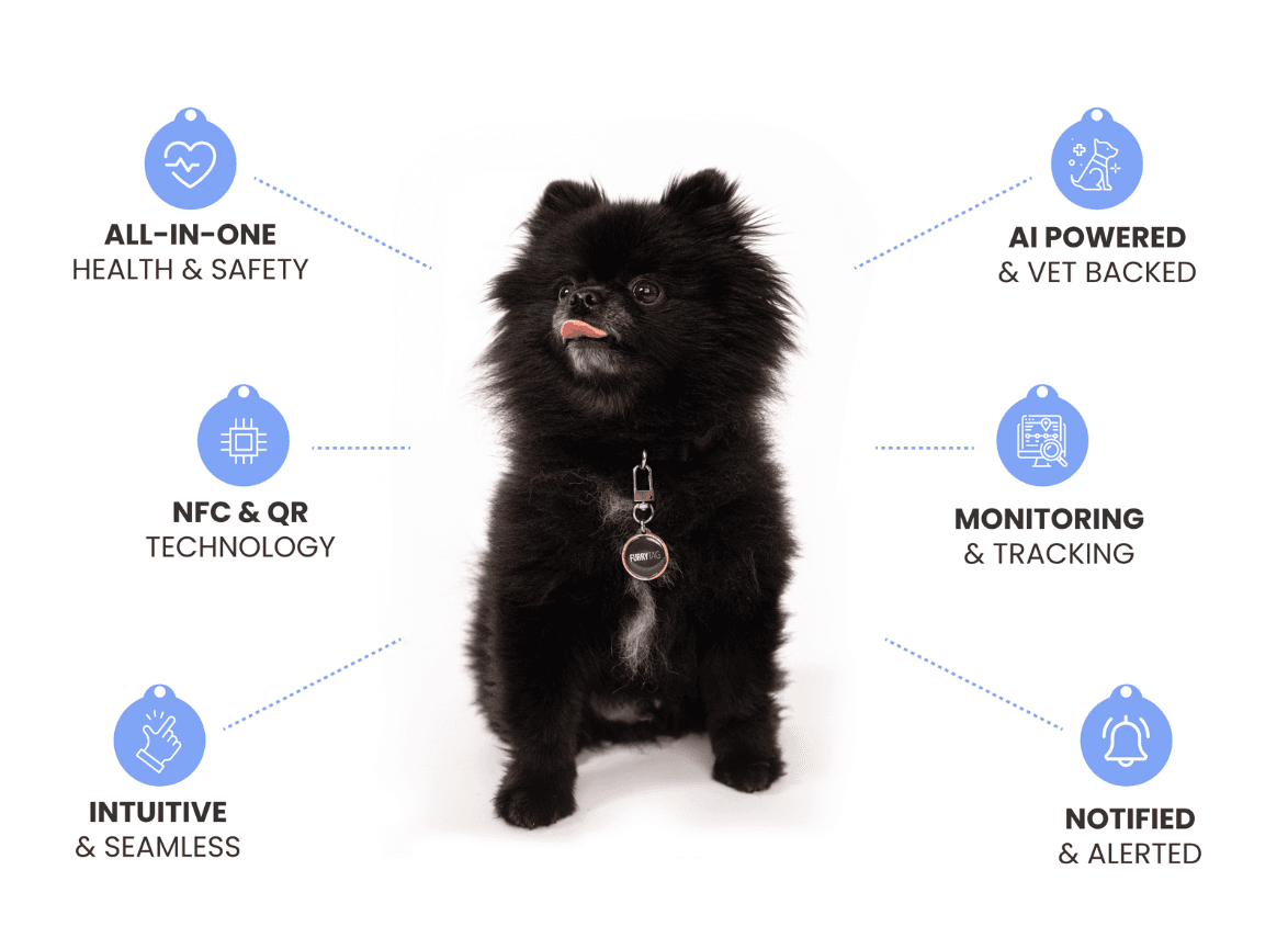 Furry Tag: The Ultimate Pet Care Companion