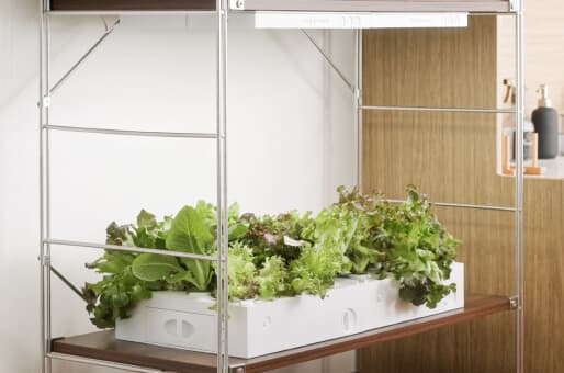 The World’s Most Modular Indoor Garden