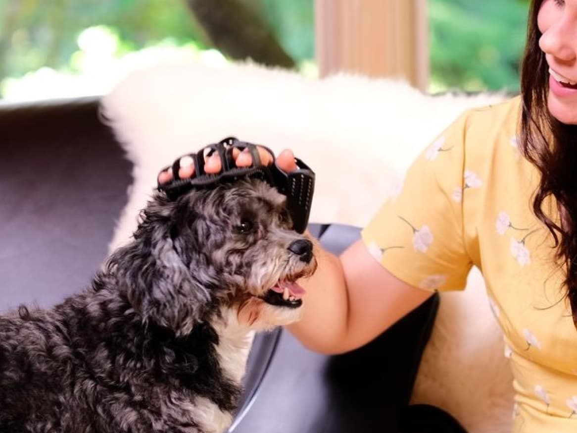 WiiPak: The ultimate pet hair solution!