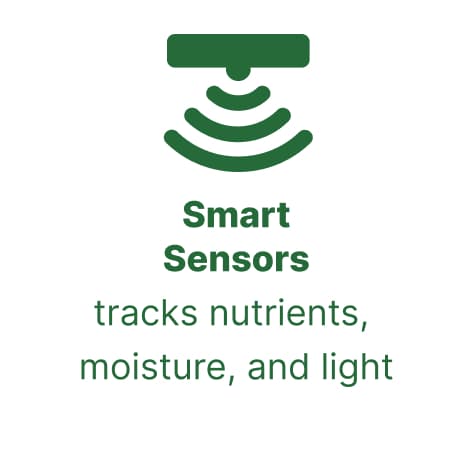 The Smart Way to Harvest Greens at Home