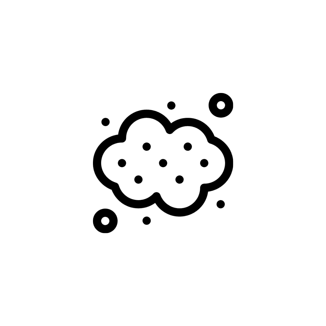 Dust mites