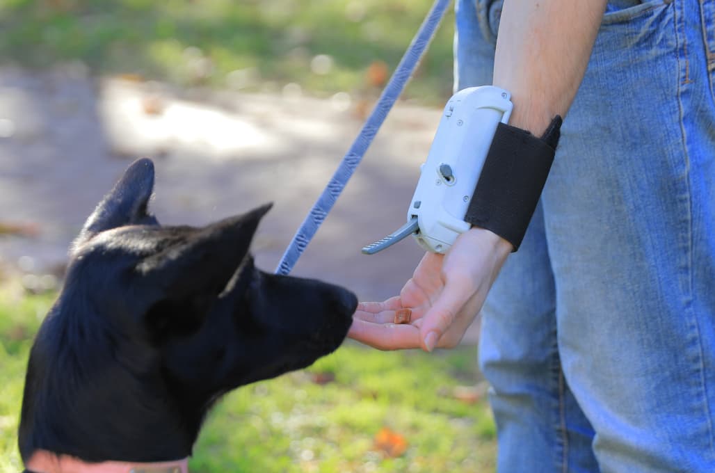Tristo: The Dog Training Game-changer