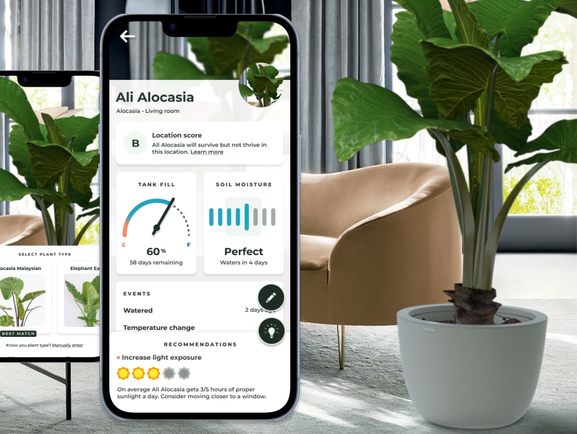Herba: Effortlessly Green
