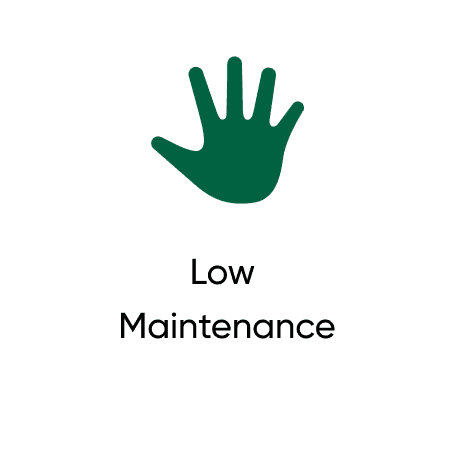 Get in Touch with Your Greenthumb
