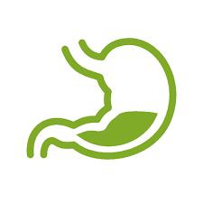 Gastrointestinal protection.