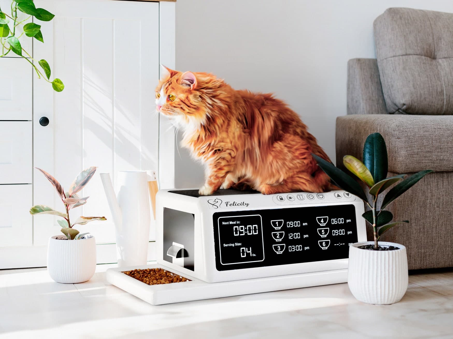 Felicity Pet Feeder: Your Smart Wet Food Dispenser