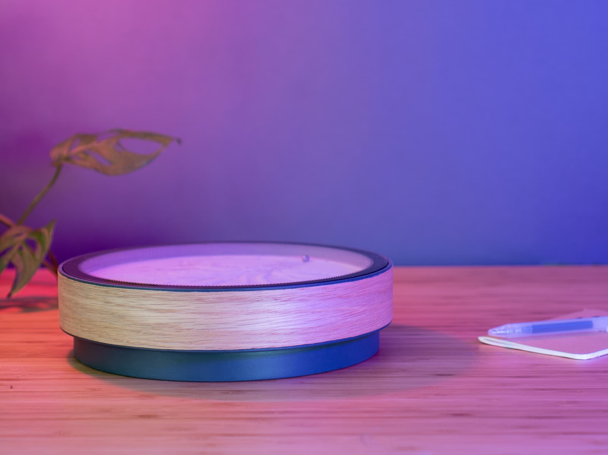 Oasis Mini - Calming Kinetic Art for Any Space