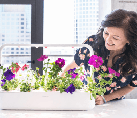 Transform Your Lawn with Lawn Care