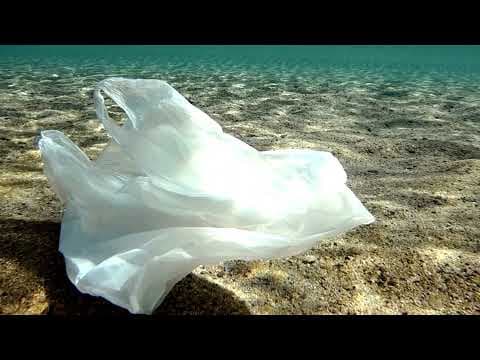 PlanetCare: Care for the Ocean—1 Filter at a Time