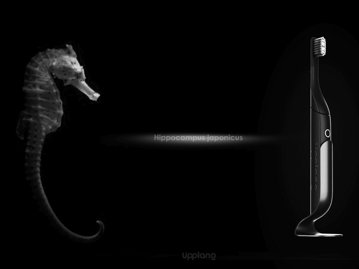 Redefining Portability:The Next-Gen Electric Toothbrush