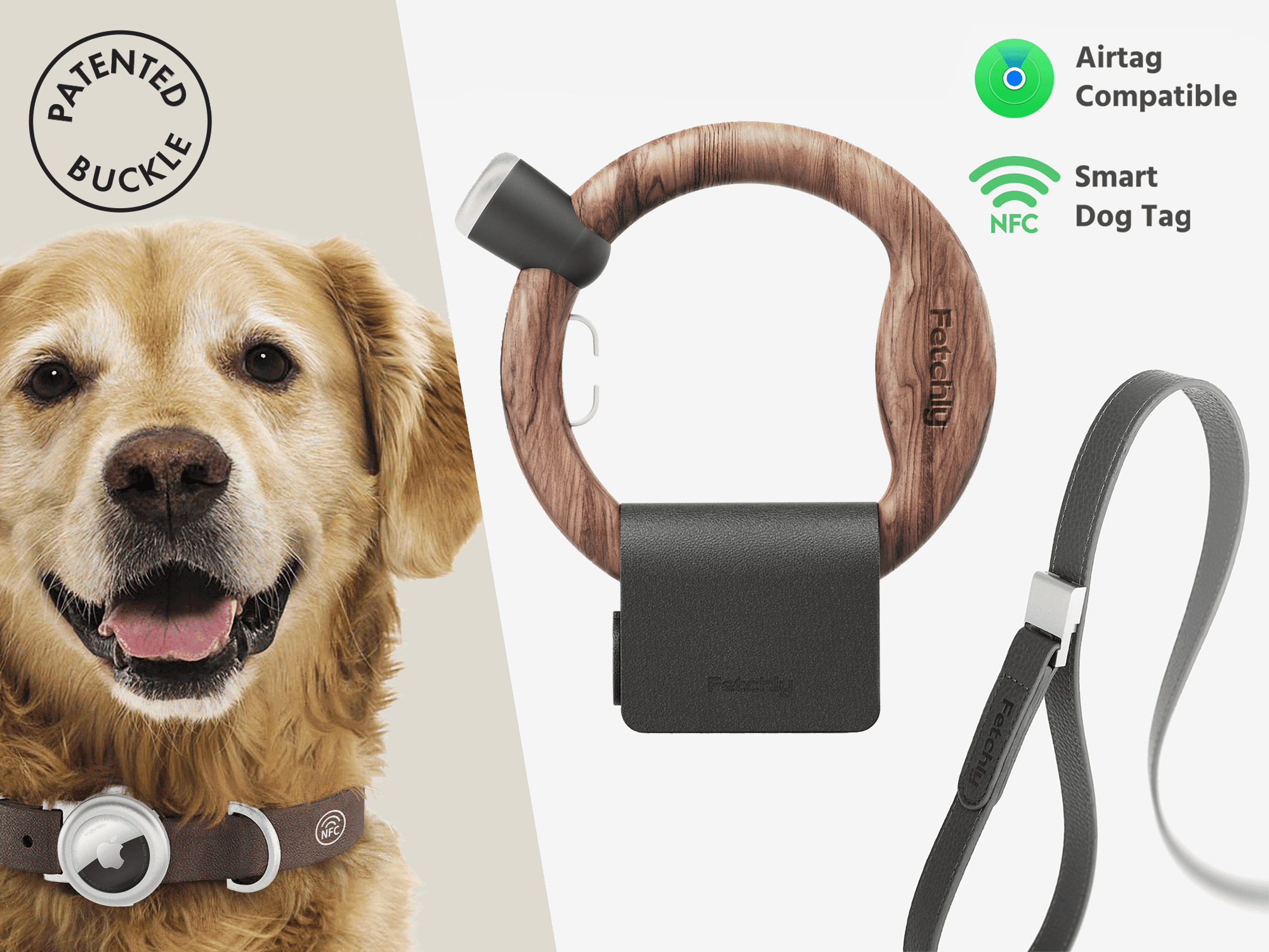 Magnetic Leash System for Effortless Walks