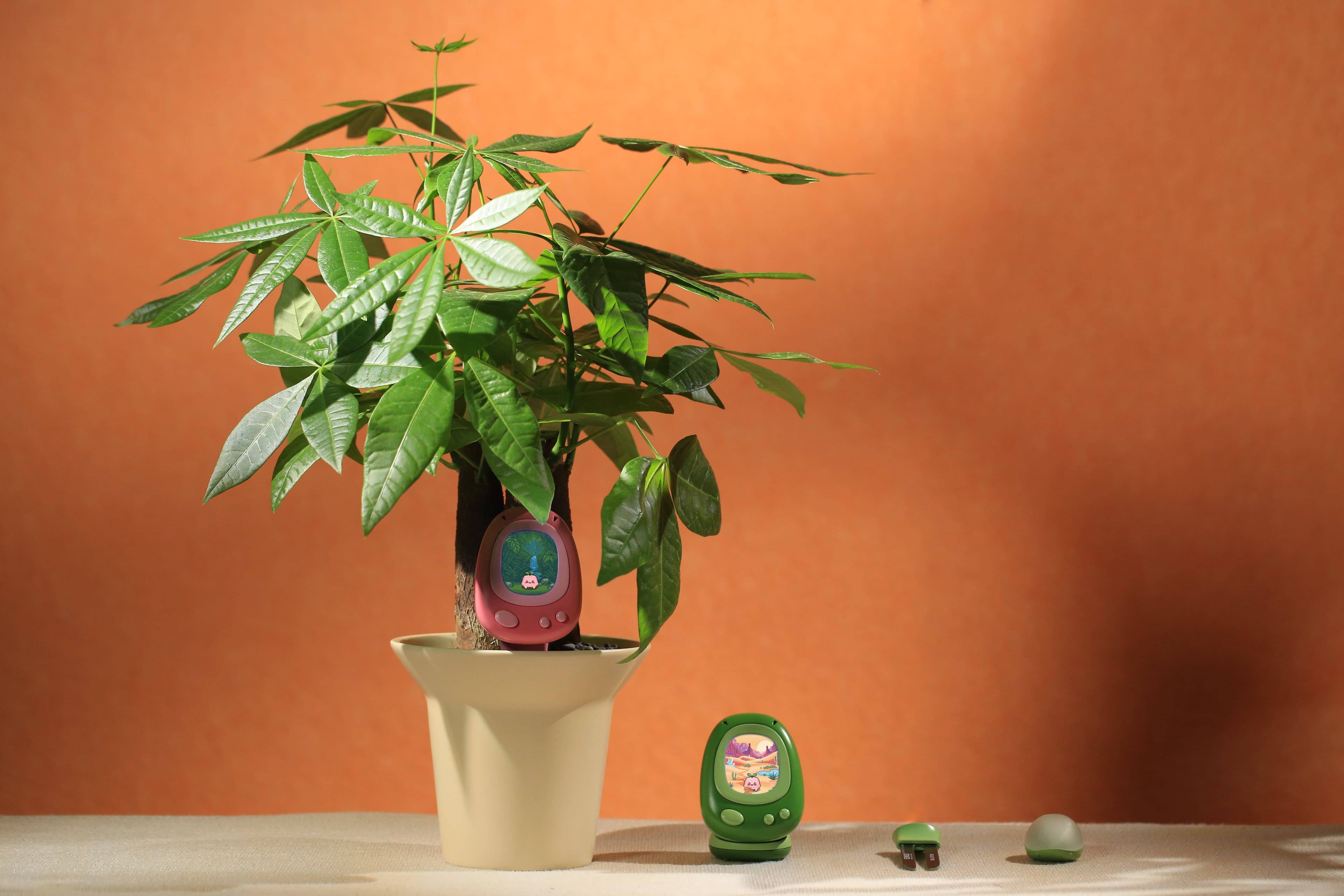 Senso — AI Smart & Gamified Plant Sensor