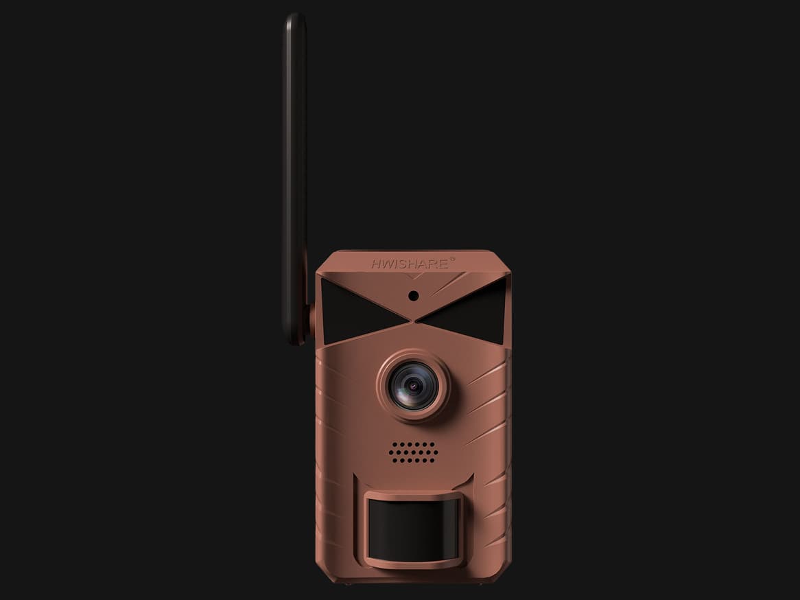 Wildsight Vision: See the Wild in True Color After Dark