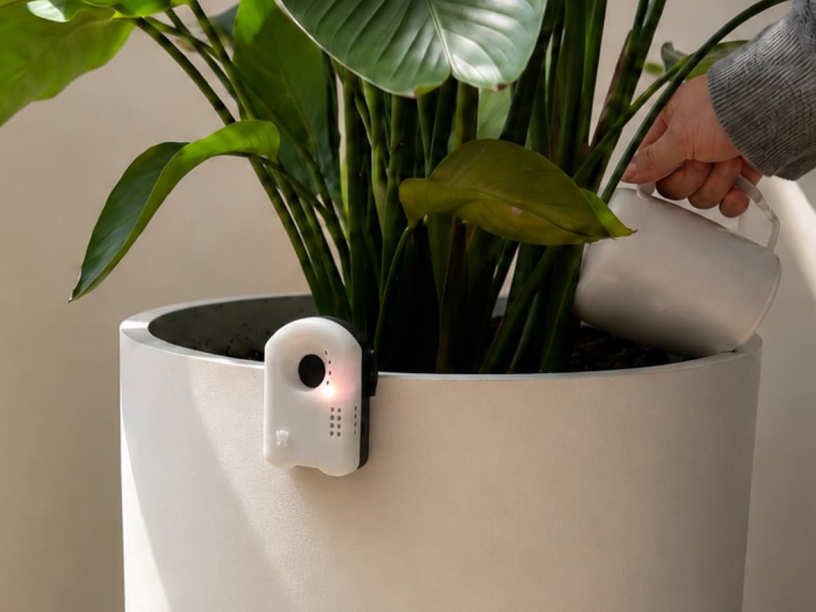 Elato Sidekick: Give Everyday Objects a Voice