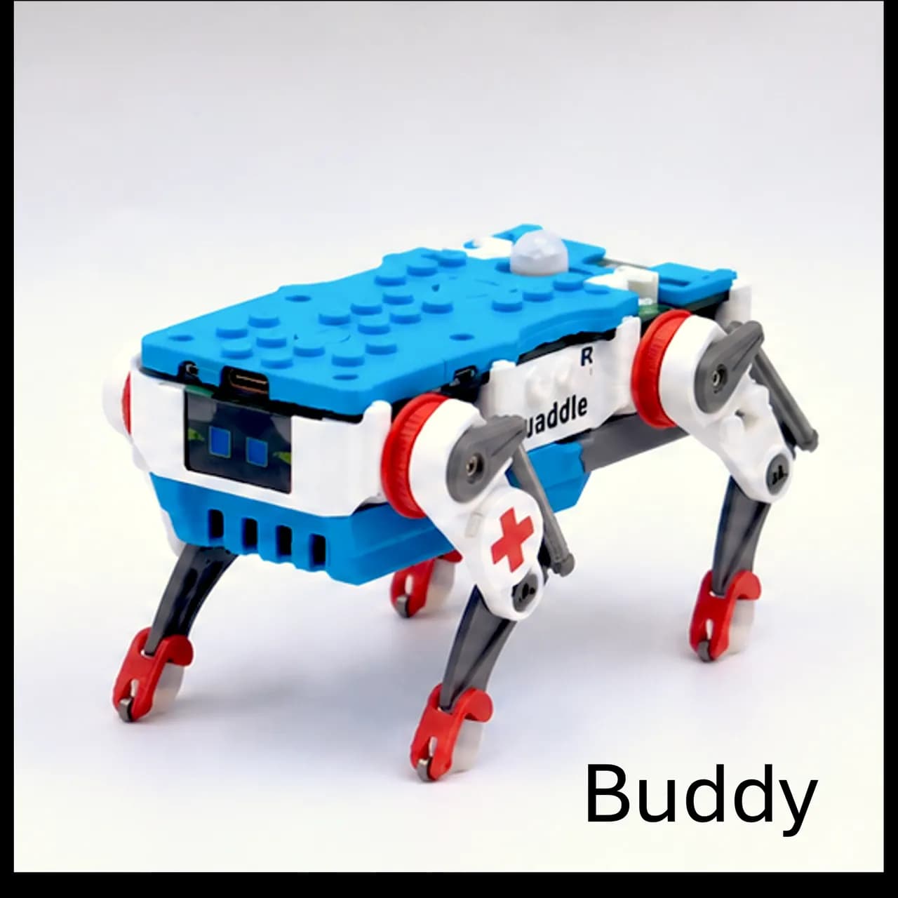 Meet the Petoi Quaddle Family