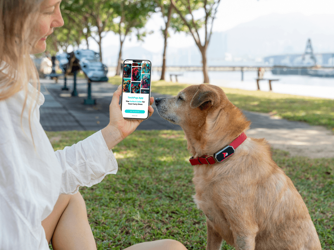 TechPup: The AI Collar That Trains, Tracks & Protects