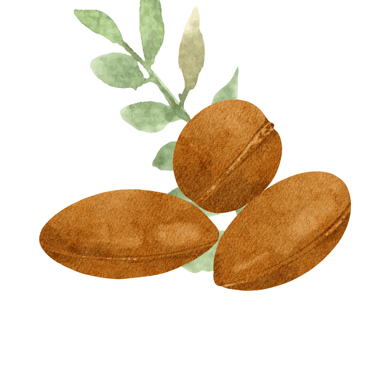 Argan oil