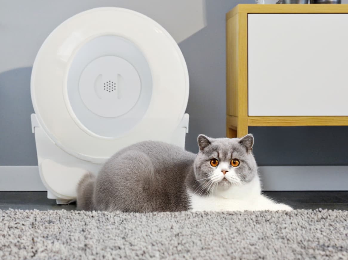 PETLUX V3: The World’s Largest Self-Cleaning Litterbox