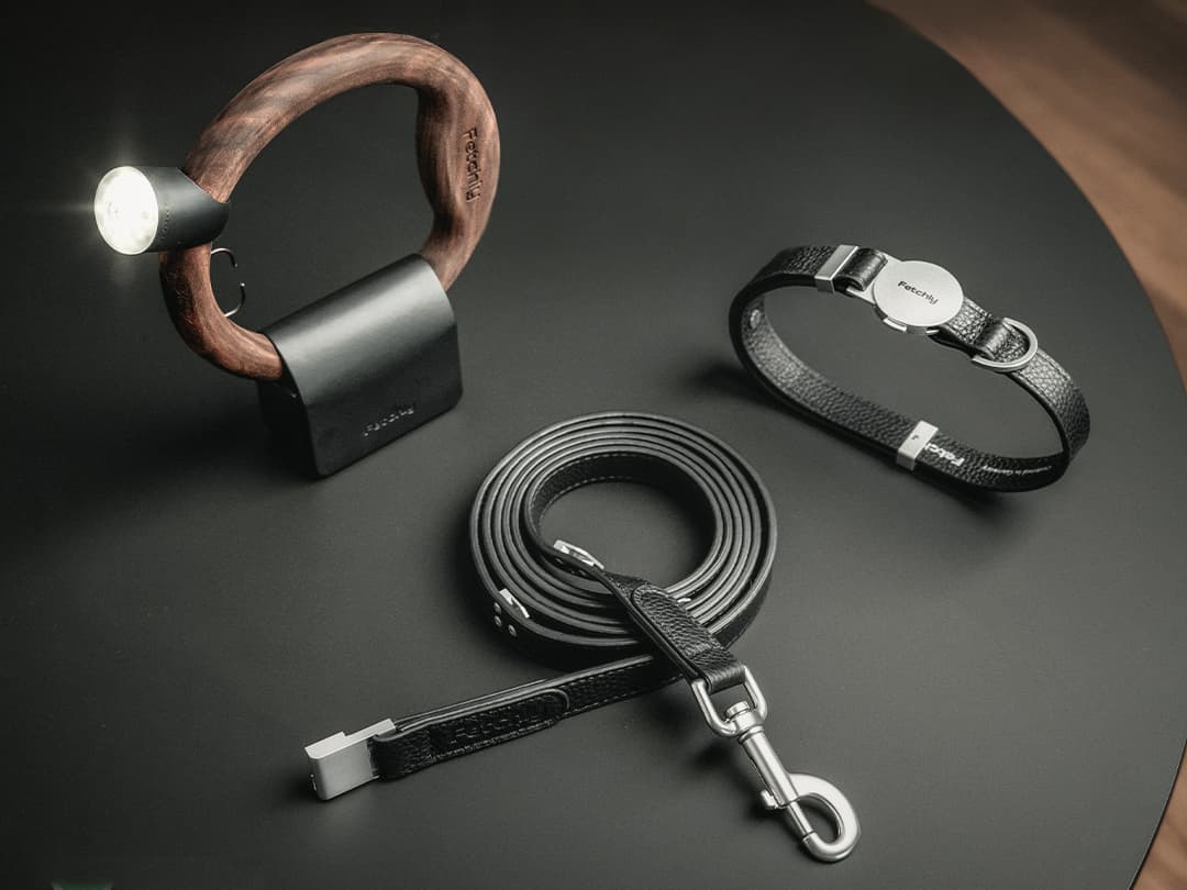 Magnetic Leash System for Effortless Walks