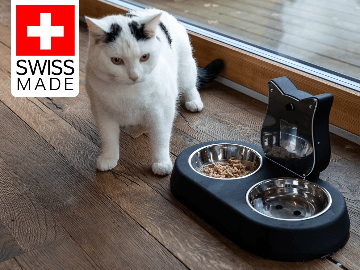 AI-Tails One: The All-in-One Cat Health & Feeding Station