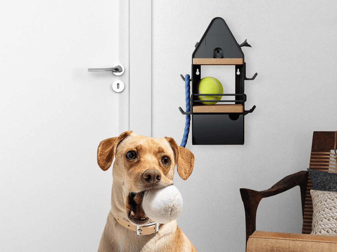 Bowhouz: The Wall Cubby for All Your Pet Gear