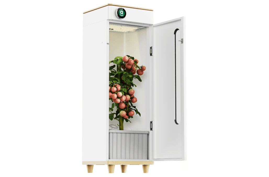Grow Anything Indoors