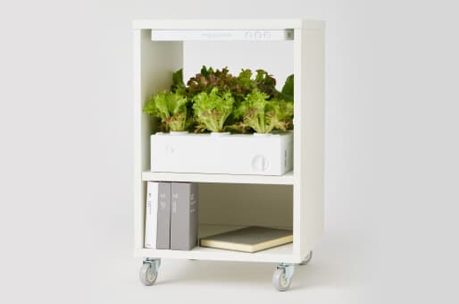 The World’s Most Modular Indoor Garden
