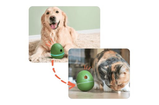 Fully Interactive Pet Toy & Smart Treat Dispenser