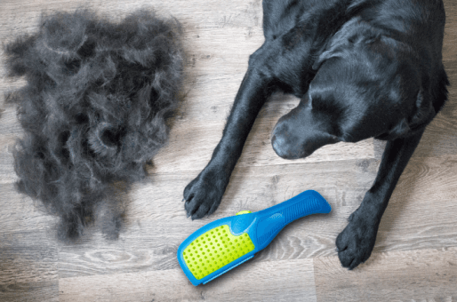 The Most Multifunctional Pet Deshedding Brush