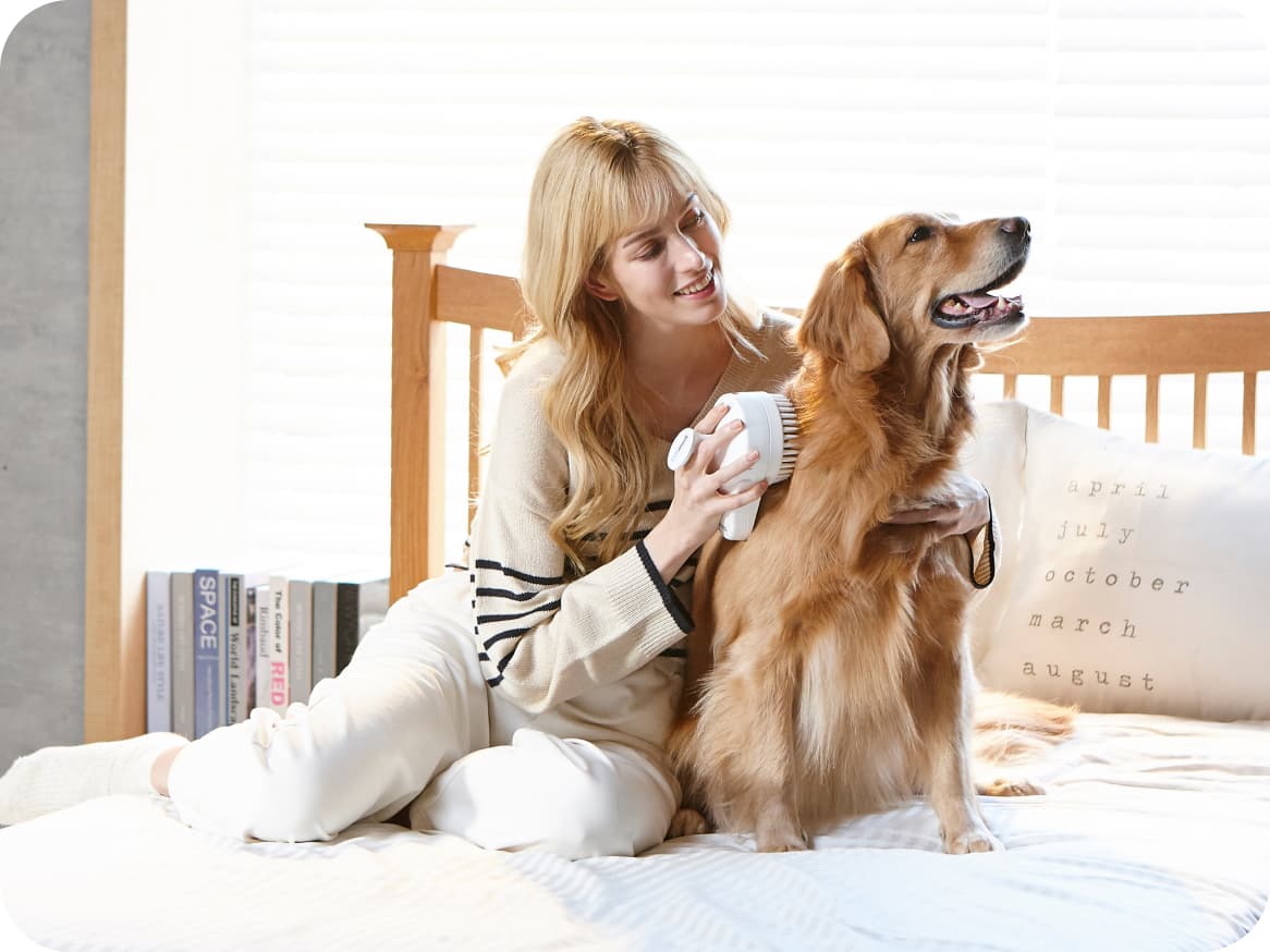 Lux Medi: Light Therapy For Your Pet