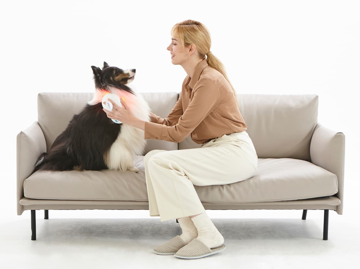Lux Medi: Light Therapy For Your Pet