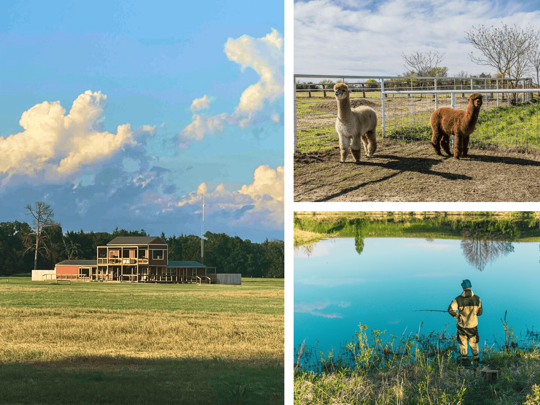 88888 Ranch: The Ultimate Pickleball Resort